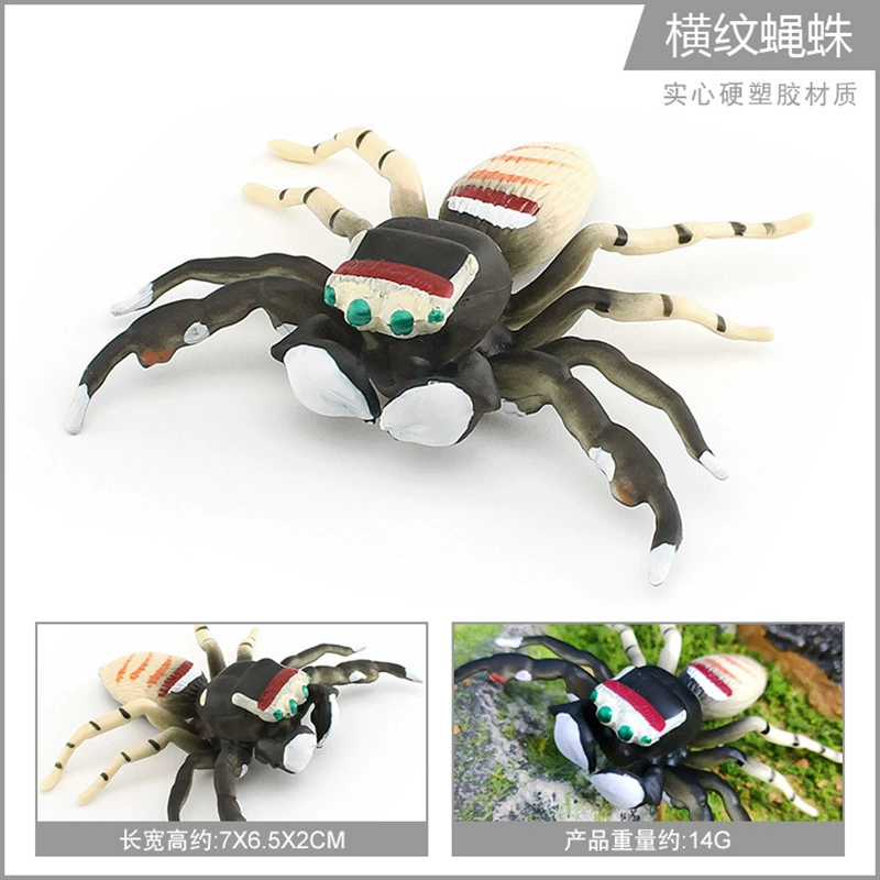 Cross -border hot selling simulation wild insect animal spider model gray -blue poison spider big spider spider tideline static ornaments