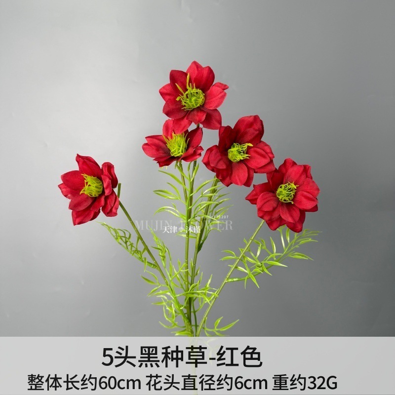 5개입 블랙 씨드 (Black Seed)