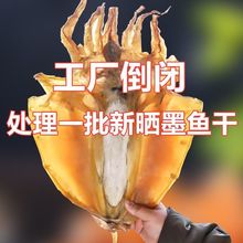 【年货批发】新货野生墨鱼干淡晒淡目鱼干乌贼干海鲜干货浙江特产