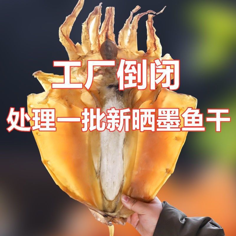 【年货批发】新货野生墨鱼干淡晒淡目鱼干乌贼干海鲜干货浙江特产