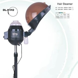 Wholesale Dalang hair treatment machine traditional hair salon steam heating hairdressing tools personal care electrical appliances