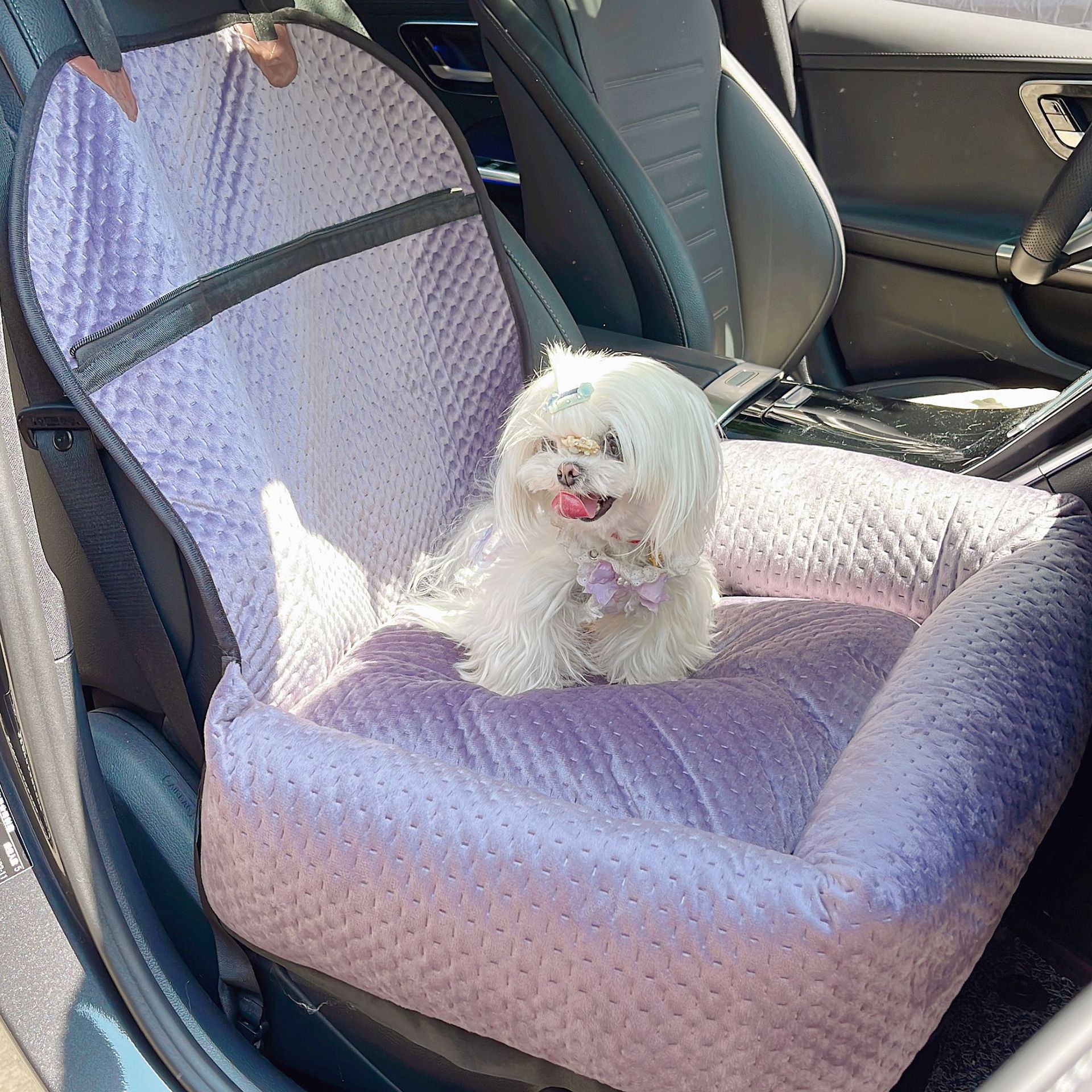 Cojín para mascotas de coche de felpa de invierno, antideslizante, grueso, gato y perro, cojín para silla de coche, color sólido, cómodo cojín para perrera