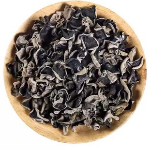 2025���d���X�^���ľ��250��/500�˰��]�o�� �Ƀ� �ó�