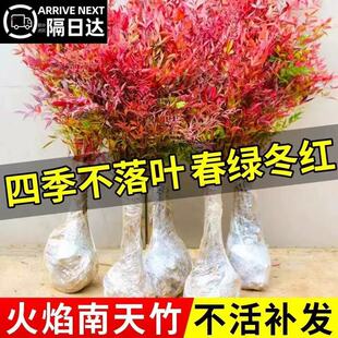 ���������Ԙ����Ϙ��辰ͥԺ�^�~���ܾGֲ�t�ͺ��G�j����ȩ����