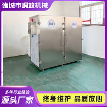 全自动大型水果蒸箱 大型双门黄精中药材蒸房 玉灵膏杀菌灭菌设备