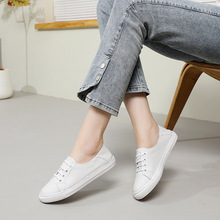 �^��ţƤ�\�چ�Ь��Ůܛ����ȹ��С��Ь�ٴ�͸�ƽ��ƽ�����m