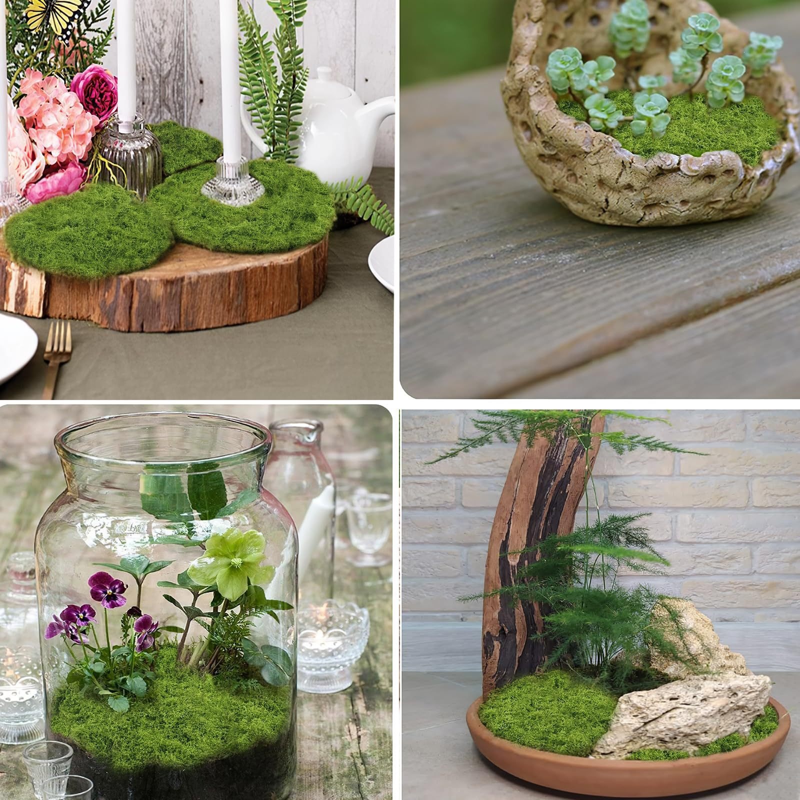 césped de musgo falso musgo césped bonsai maceta plantación verde micro paisaje paisajismo decoración ecológica alta planta