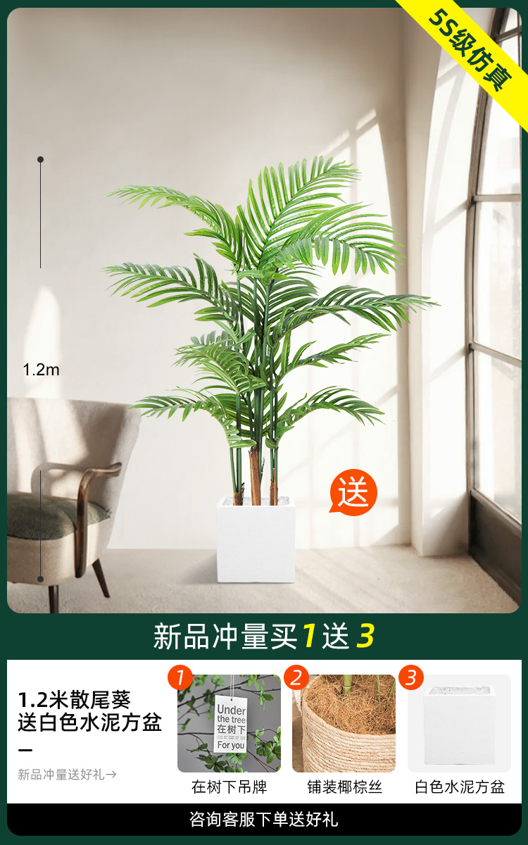 1.2 m 느슨한 말미잘 [백색 시멘트 사각 분지 보내기]]