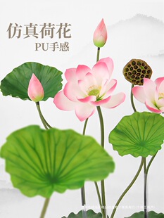 �ɻ�ɏ����~ɏ���͏d�[���ָІ�ֻ�ٻ�ˮ���b��쾰�Ĕz����