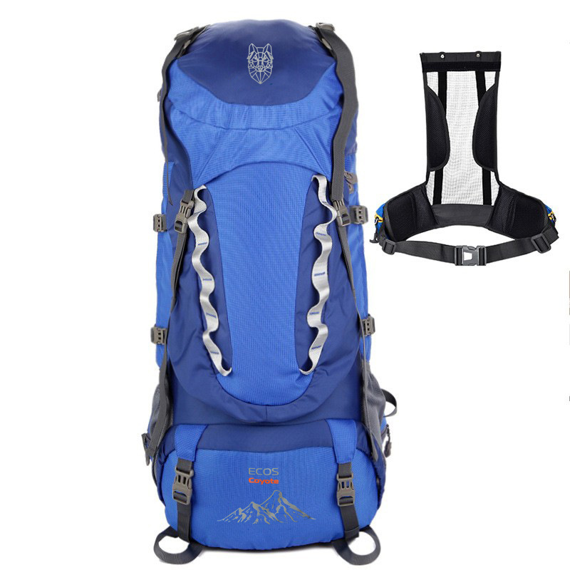 New professional mountaineering bag 80L outdoor backpack shoulder bag men's suspension large capacity travel backpack a generation of hair