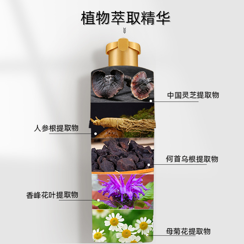 染毛剤北京同仁堂自然黒大容量白髪変黒髪同仁堂泡染毛ペーストは卸売りできる|undefined