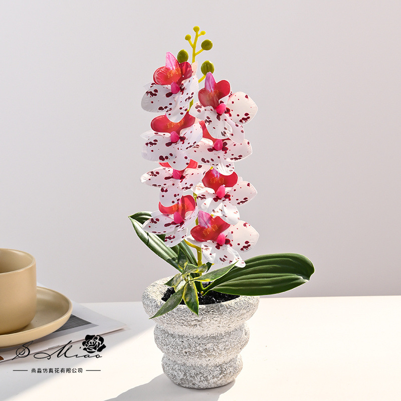 Pequeñas 8 flores Phalaenopsis bonsai flor artificial moda creativa decoración de flores decoración artificial planta verde simulación pequeña en maceta image 3