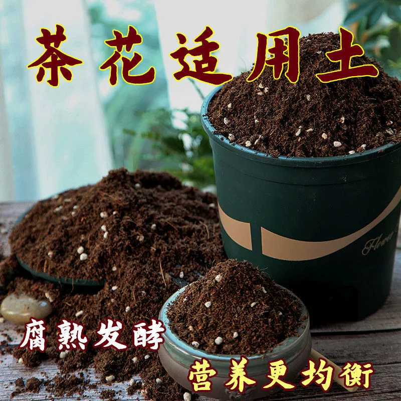 QX Camellia Soil, 2.5kg упаковок, питательный почвенный грунт для камелии, рассыпчатый, дышащий, слабокислый, почва из кокосовой соломы, почва для зеленых растений, универсальная почва