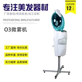 其他美容仪器;美容喷雾仪;焗油帽