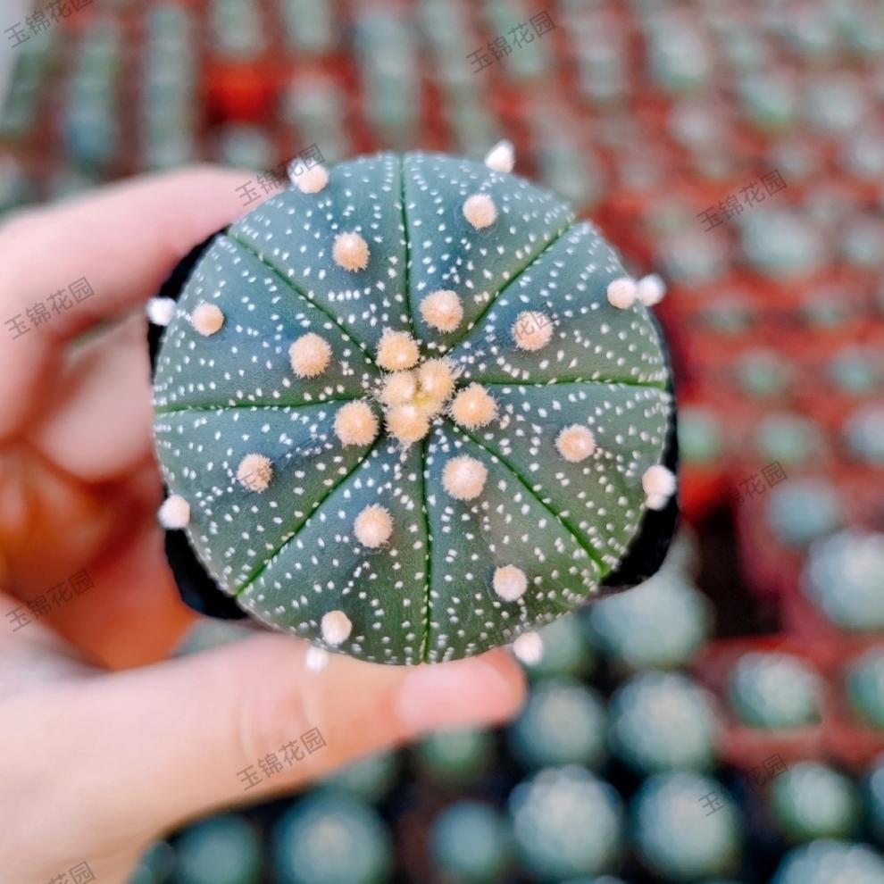 4f86d01c-361e-48b2-9c92-4bb0e680ba0f.jpe