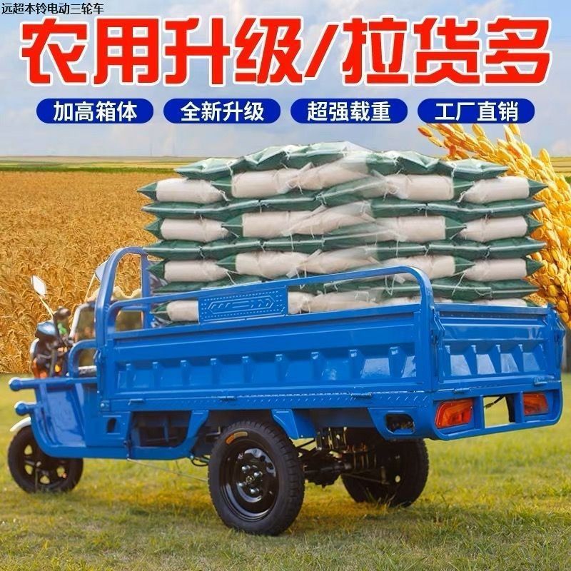 电动三轮车拉货载重王电瓶车农用车摆摊车家用三轮车快递车新国标|undefined