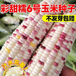 ����Ŵ6̖���׷N�Ӳ�ɫŴ���׷N��Ŵ��ԭ�b�ļ��߲����׷N�Ӵ�ȫ