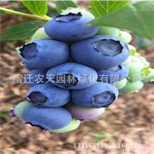 �݂������{ݮ�����̨�Nֲ�������ϱ����������۹��玧ԭ���l؛��