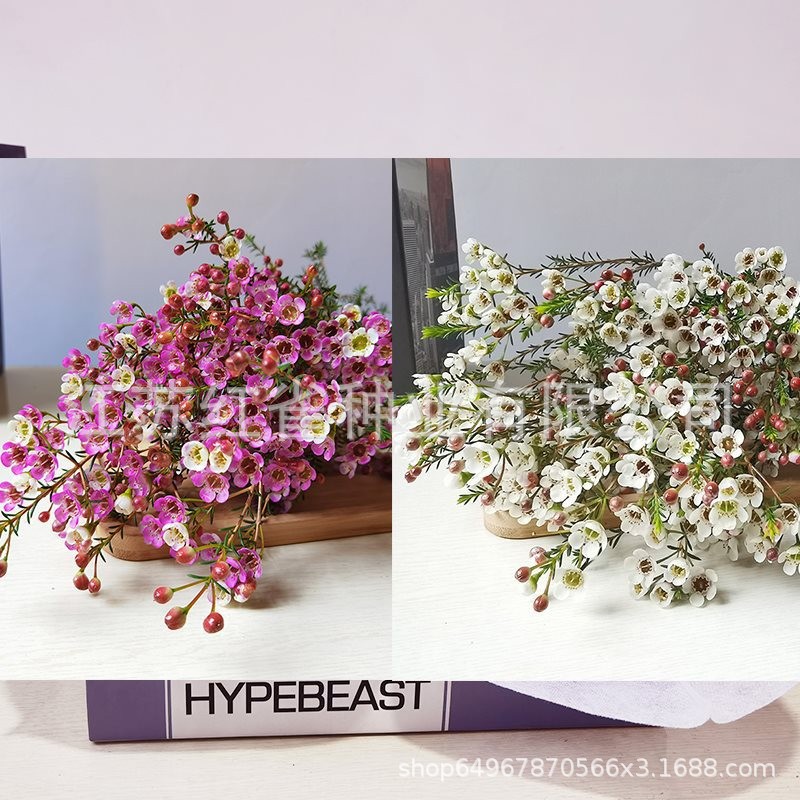 O1CN01ZAYNp01ud4hE61wkN_!!2217