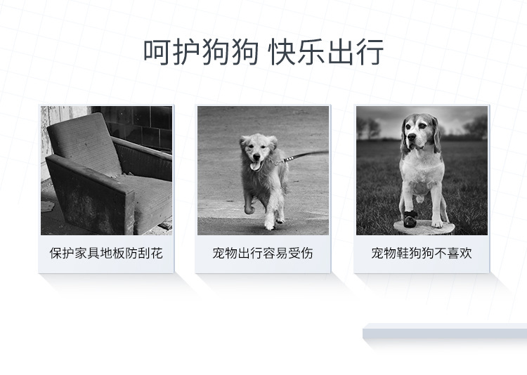 狗足贴_02.jpg