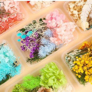 ������������Ȼ�ɻ����滨��ȻС�����b�ͯ�����ֹ�diy���ϰ�