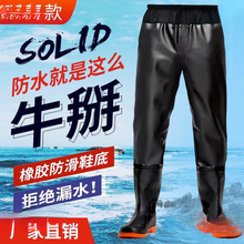 Ƥ���ˮ��ˮ����������Ьѝ��ˮ���R�����p�Ӻ�ץ�~��ˮѝ���B�w