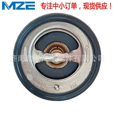Suzuki V-Strom Dl1050 – Thermostat