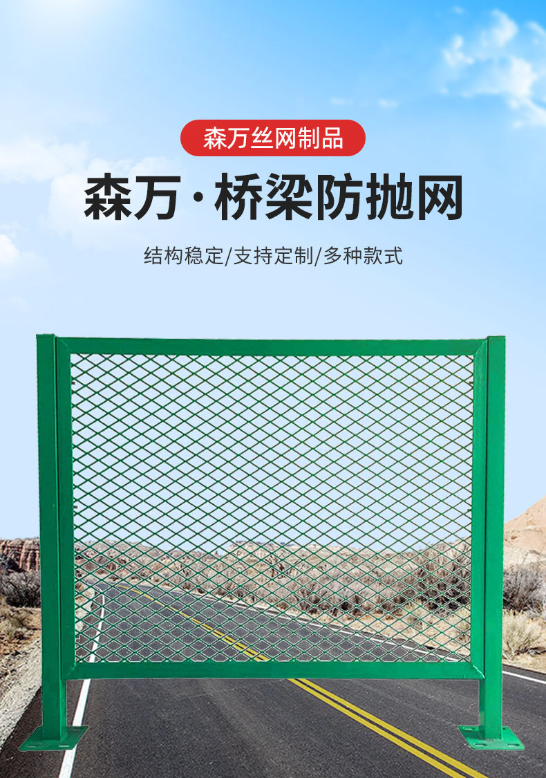 桥梁防抛网_01.jpg