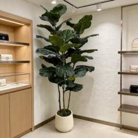 跨境亚马逊绿植假大型琴叶榕客厅绿植盆栽树花树仿生装饰摆件拆装