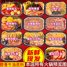 土豆粉自热火锅宽粉自助懒人小火锅麻辣烫米饭粉耗子零食批发