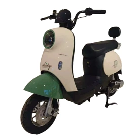 电动自行车;电动摩托车;电动三轮车