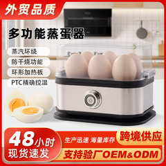 跨境蒸蛋器美欧英规锈钢家用小型煮蛋器台湾香港用早餐机煮蛋机