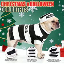 ���N���ﹷ����Ʒ����ᘿ�ë���Ϲ�׃���b�׎��b���f�}�Q������