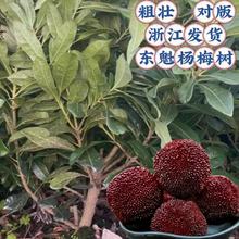 ������ ����̨�ݗ�÷����|����÷����޽Ӗ|����÷���� �Ϸ���ľ