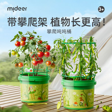 mideer弥鹿儿童种植攀爬桶植物生长吨吨桶阳光房科教实验益智玩具