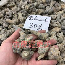云南文山去皮三七30头食用三七产地药材批发一手货源可批发代发