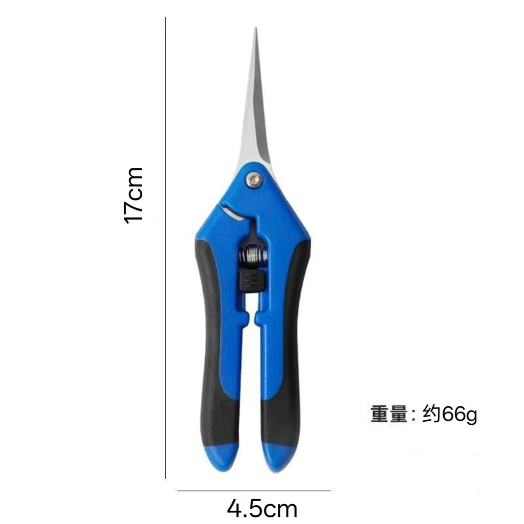 微信图片_20251225111713_338_1