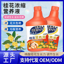 思泰克桂花专用浓缩营养液花卉肥料通用免稀释花肥催花促花水溶肥