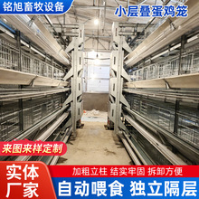 加工小层叠蛋鸡笼加粗加密镀锌多层育雏笼尺寸定制全自动养殖设备