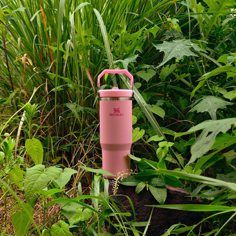 30oz史丹利跨境爆款保温杯stanley304不锈钢2代手提汽车杯吸管1|undefined