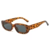 Leopard Gravity