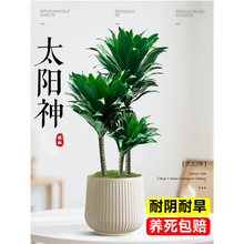 ̫��������Ϙ����W�W�t�����҃ȿ͏d����ֲ����^�Gֲ�����՚�