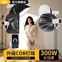 300Wֱ���a�������COB�����zӰ�􌣘I�GĻֱ���g