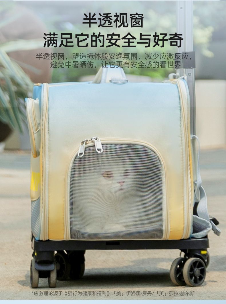 O1CN01M2W2ZO1b1XflYURRx_!!2214770273405-0-cib.jpg
