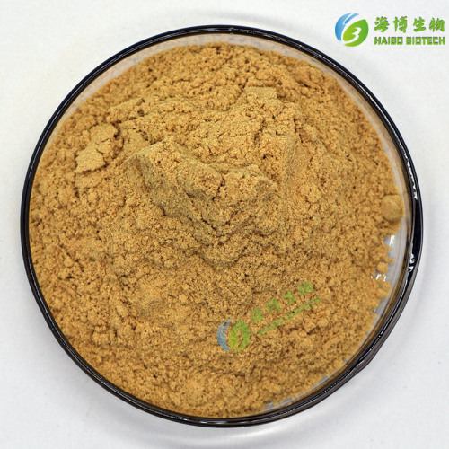 Beef Powder 99% Water Soluble Food Additive Seasoning Beef Extract Food Grade Haibo Biotechnology