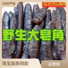 皂角 皂角粉 皂角洗头 皂角段 大皂角 长皂角 干净大个包邮