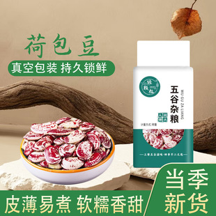 �ɰ�������b��؛�s�Z�����������M�ּZ���r֧��һ�����l