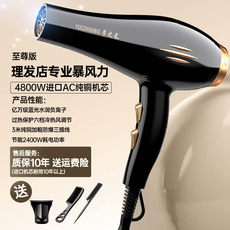メーカー卸売ドライヤーハイパワーブルーライトマイナスイオンドライヤー家庭用ヘアサロン速乾冷熱風ドライヤー|undefined