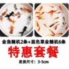 Value package 1