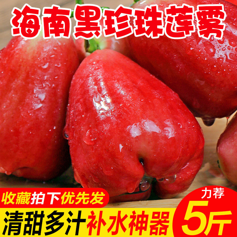 Hainan Wax Apple Seasonal Fresh Fruit Black Pearl Wax Apple Ruby Wholesale Whole Box Pregnant Woman Fruit Free Shipping